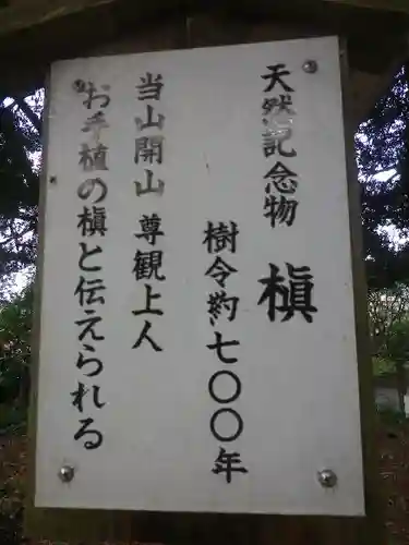 安養院　(田代寺）の歴史