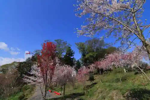 阿久津「田村神社」（郡山市阿久津町）旧社名：伊豆箱根三嶋三社の庭園