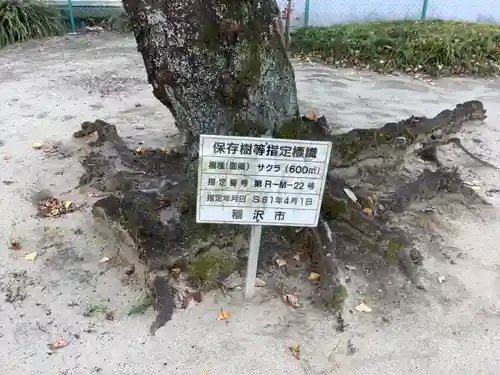 三島社（矢合）の自然