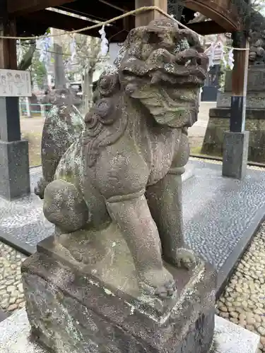 鮫州八幡神社の狛犬