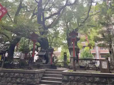 若一神社の末社・摂社