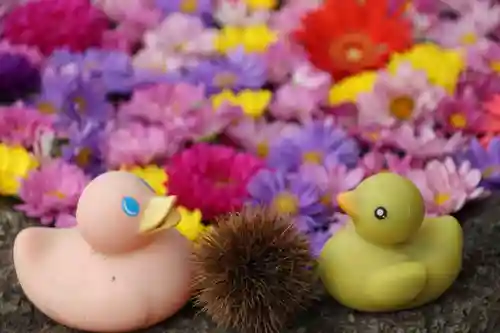 大鏑神社の手水舎