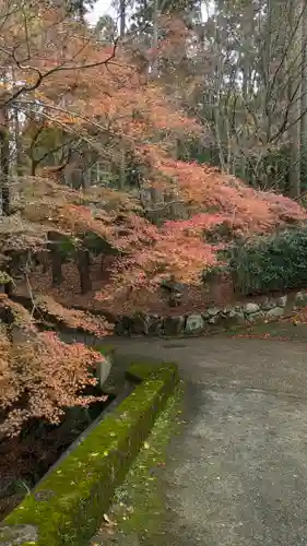 勝手神社(京都府)