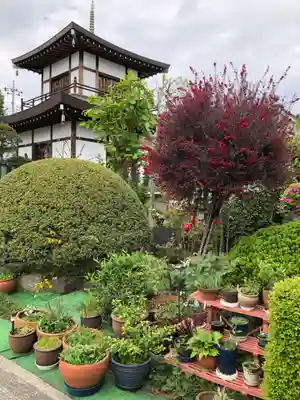 岩槻大師彌勒密寺(埼玉県)