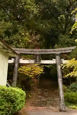 若一王子宮(高知県)