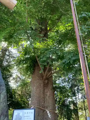深見神社の自然