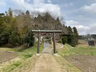 大宮賣神社の鳥居