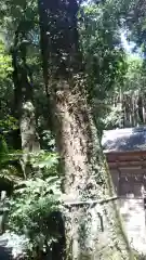 八幡神社松平東照宮(愛知県)