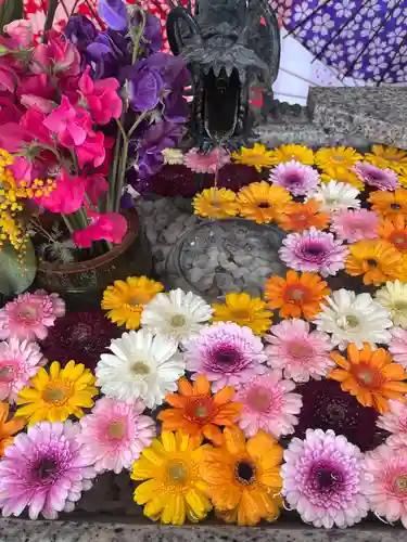 札幌諏訪神社の手水