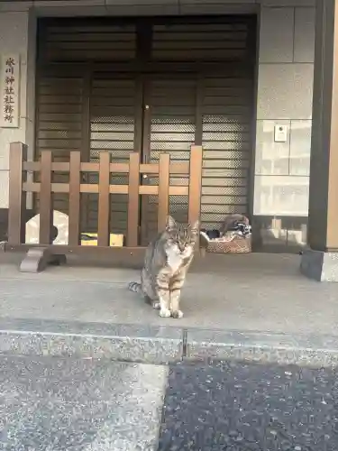 白金氷川神社の{uncategorized: "未分類", other: "その他", undefined: "問題あり", building: "その他建物", grave: "お墓", sacred_gate: "鳥居", guardian: "狛犬", statue: "像", buddha: "仏像", history: "歴史", nature: "自然", garden: "庭園", animal: "動物", pagoda: "塔", temizu: "手水舎", mountain_gate: "山門・神門", sanctuary: "本殿・本堂", subordinate: "末社・摂社", art: "芸術", scenery: "景色", jizo: "地蔵", ema: "絵馬", goshuin: "御朱印", omikuji: "おみくじ", items: "授与品その他", amulet: "お守り", goshuincho: "御朱印帳", eats: "食事", festival: "お祭り", votive_dance: "神楽", shichigosan: "七五三参", wedding: "結婚式", experience: "体験その他", initially: "初詣", around: "周辺", anti_infection: "感染症対策"}