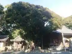 熊野神社(愛知県)