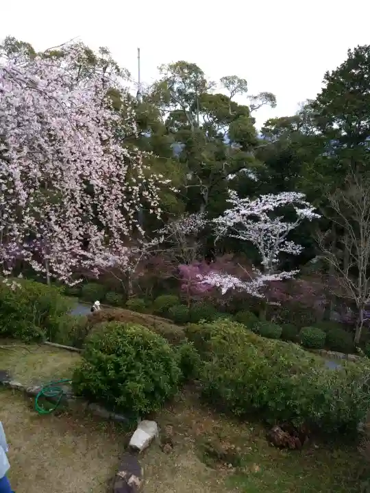 石山寺(滋賀県)