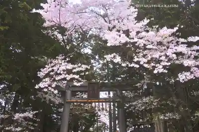 冨士御室浅間神社(山梨県)
