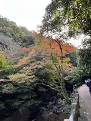 聖天宮 西江寺(大阪府)