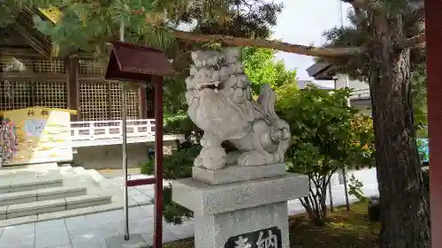 北見神社の狛犬