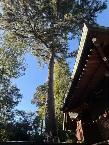 中野沼袋氷川神社(東京都)