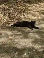 玉野御嶽神社の動物