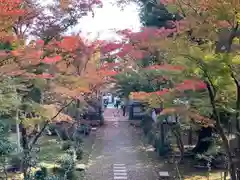 浄住寺(京都府)