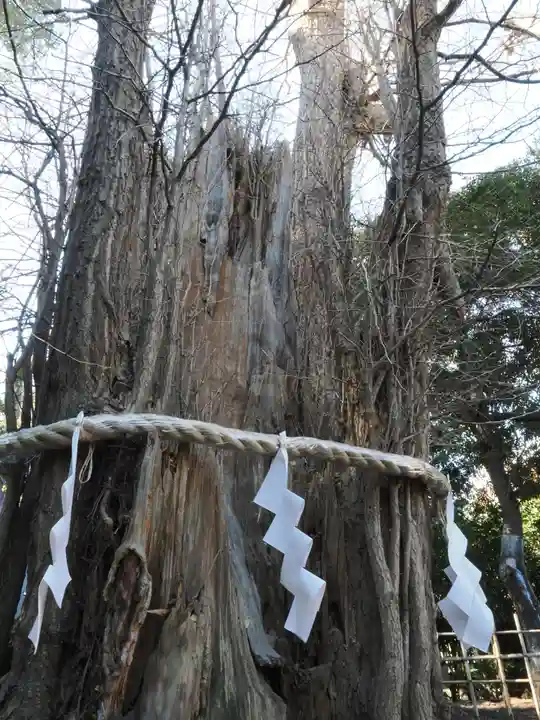 大國魂神社(東京都)
