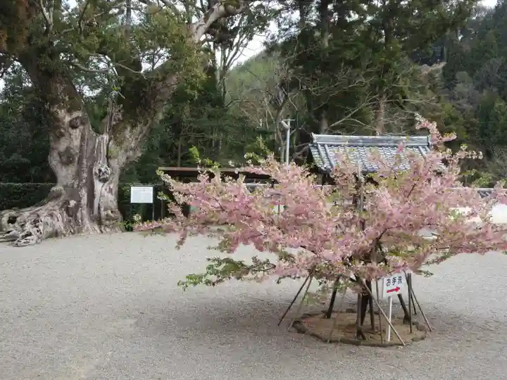 粉河寺のその他建物