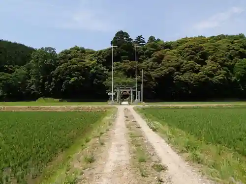 春日神社の建物その他