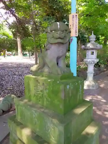 峯ヶ岡八幡神社の狛犬