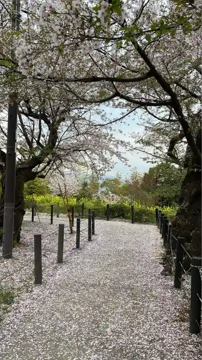 石清水八幡宮(京都府)