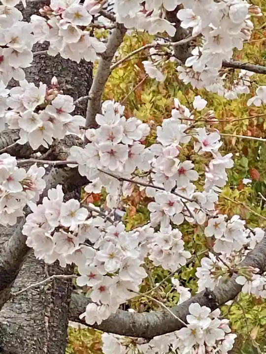 實相寺(実相寺) (京都府)