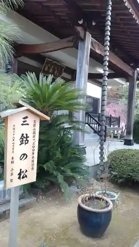 東福寺の自然