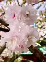 志波彦神社・鹽竈神社の{uncategorized: "未分類", other: "その他", undefined: "問題あり", building: "その他建物", grave: "お墓", sacred_gate: "鳥居", guardian: "狛犬", statue: "像", buddha: "仏像", history: "歴史", nature: "自然", garden: "庭園", animal: "動物", pagoda: "塔", temizu: "手水舎", mountain_gate: "山門・神門", sanctuary: "本殿・本堂", subordinate: "末社・摂社", art: "芸術", scenery: "景色", jizo: "地蔵", ema: "絵馬", goshuin: "御朱印", omikuji: "おみくじ", items: "授与品その他", amulet: "お守り", goshuincho: "御朱印帳", eats: "食事", festival: "お祭り", votive_dance: "神楽", shichigosan: "七五三参", wedding: "結婚式", experience: "体験その他", initially: "初詣", around: "周辺", anti_infection: "感染症対策"}