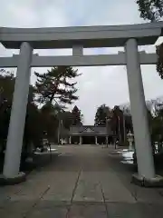 福井県護国神社の鳥居