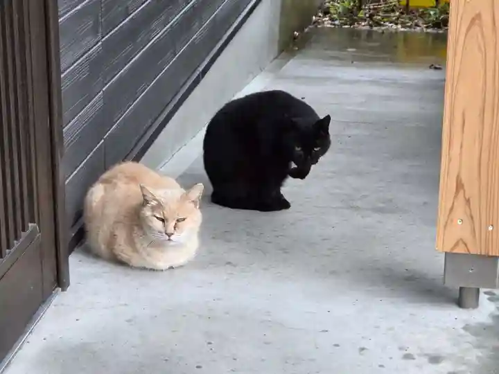 若宮神社(鹿児島県)