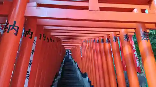 山王稲荷神社（日枝神社末社）の鳥居