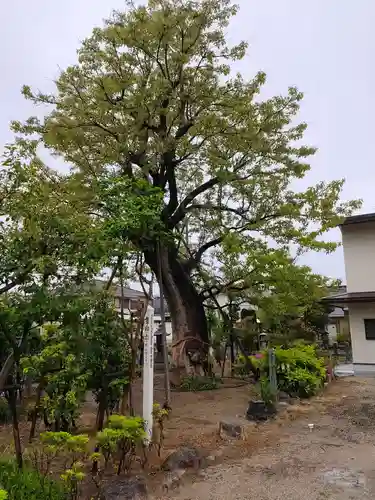 田守神社(大阪府)