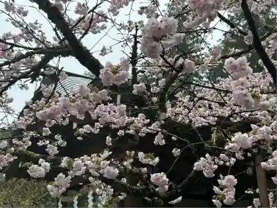 日光二荒山神社(栃木県)