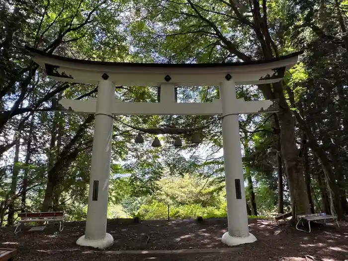 宝登山神社奥宮の鳥居