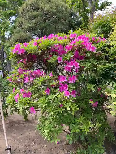 片瀬諏訪神社の庭園