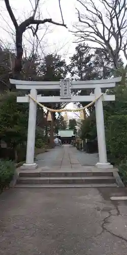 星川杉山神社の鳥居