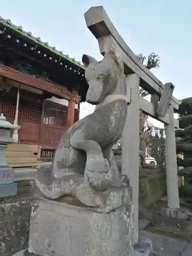 稲荷神社の狛犬