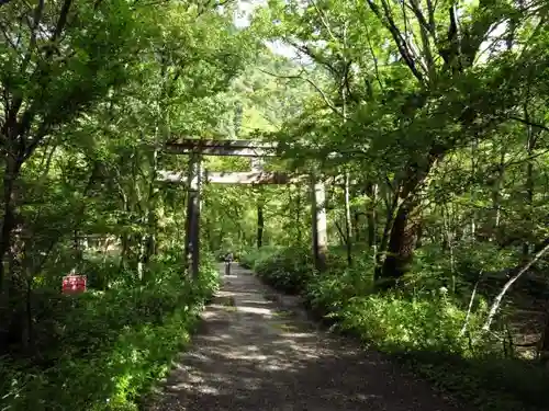 穂高神社奥宮の自然