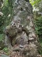 奈良豆比古神社(奈良県)