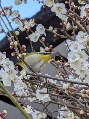 熊野神社(東京都)