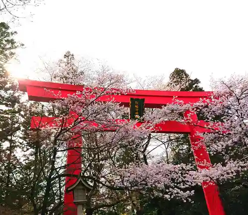 冠稲荷神社の鳥居