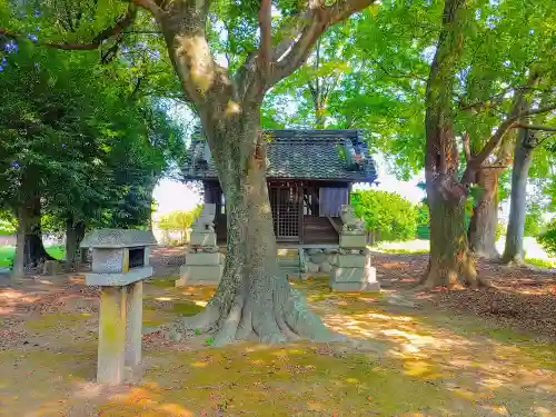 熱田社（西溝口）の自然