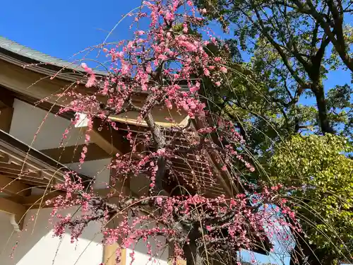 太宰府天満宮の自然