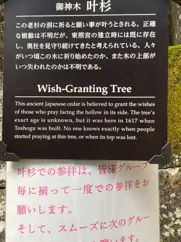 日光東照宮(栃木県)