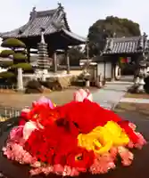 真言宗 善通寺派 薬王寺(香川県)