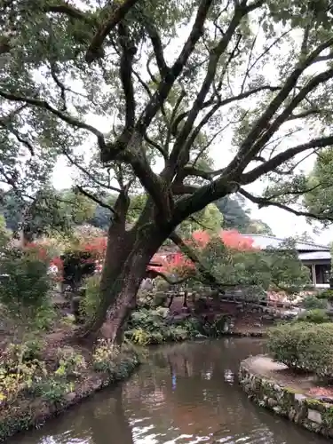 太宰府天満宮の庭園