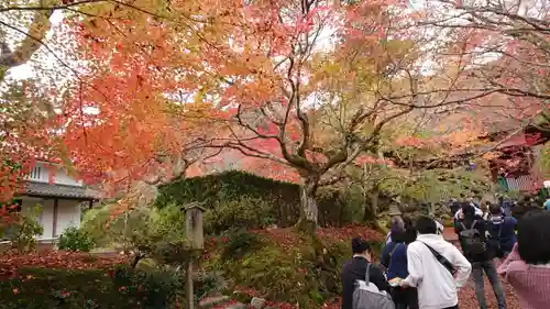 常寂光寺のその他建物