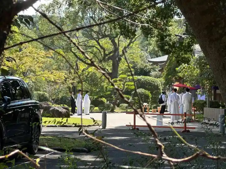 宇佐神宮(大分県)